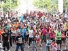 flashmob3